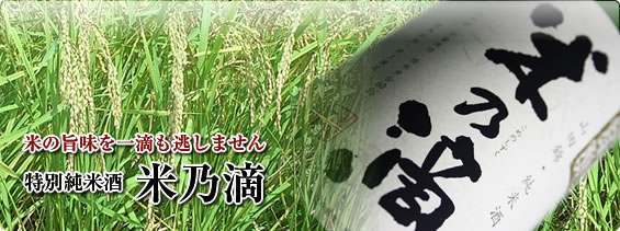 米の旨味を一滴も逃しません 特別純米酒 米乃滴